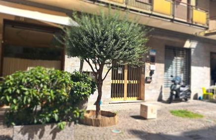 La Perla Di Caserta - Photo 24