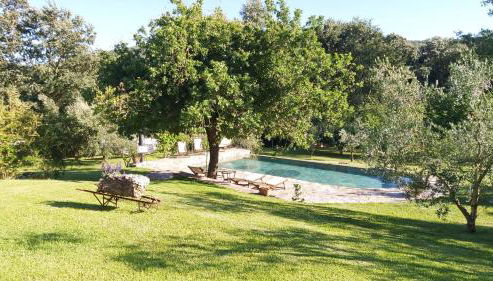 Podere Stollo - Foto 5, Garden, Garden view