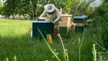 Gästehaus zur Bienerei - Foto 4