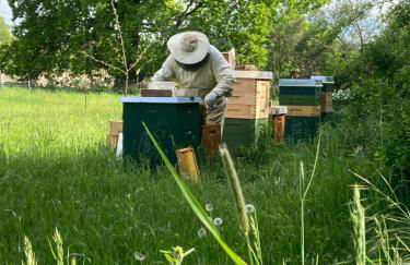 Gästehaus zur Bienerei - Foto 4