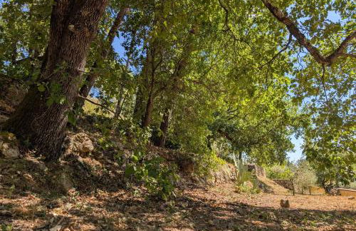 Pavillon La Ruine - Foto 26