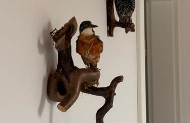 Neues, stilvolles Loft inmitten der Weinberge - Foto 18