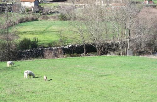 Quinta do Pé Longo - Serra da Estrela - Foto 27
