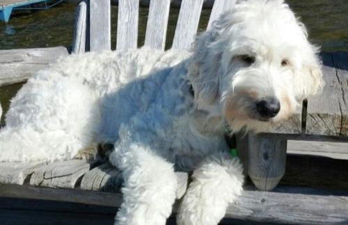 Cedaroma 5 Big Deck Amazing Views - Photo 10