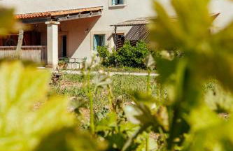 Eco-Friendly Cottage In Frontignan Wine Estate - Foto 22