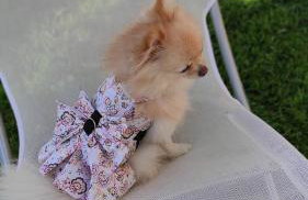 Studio ARIS, a breath away from Athens! - Foto 35