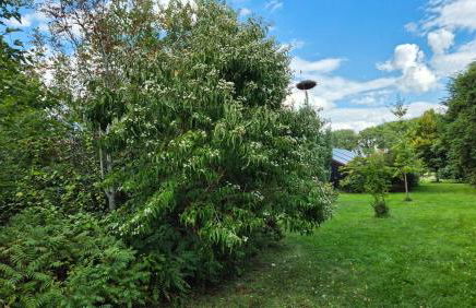 Ferienwohnung 2 Holthusen 25516 - Foto 10