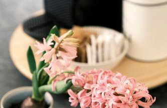 ComeCasa Lily Pads -Elegant apartment- in the city center - Foto 13