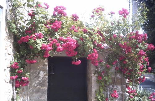 Les Maharanis - Foto 16