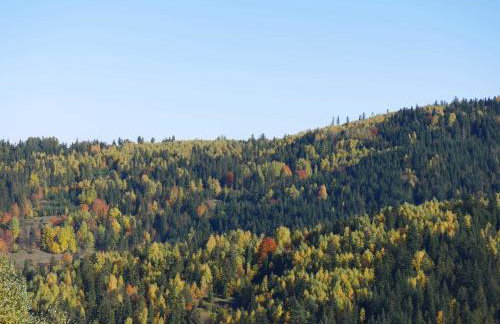 Apartamenty przy Hotelu Żywieckim - Foto 32