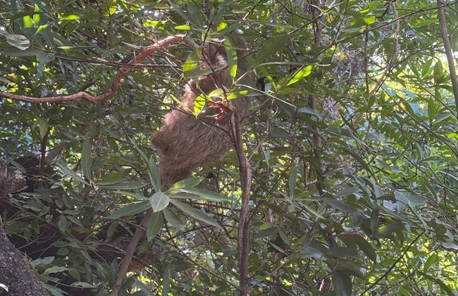 Destino Hotel & Hot Spring - Foto 74