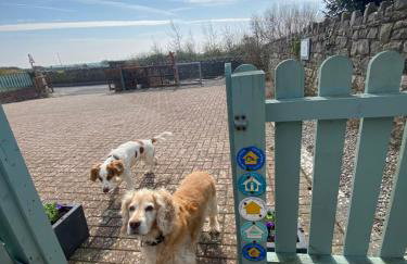 Sea dream lodge -coastal location/sea views/self-contained - Foto 39