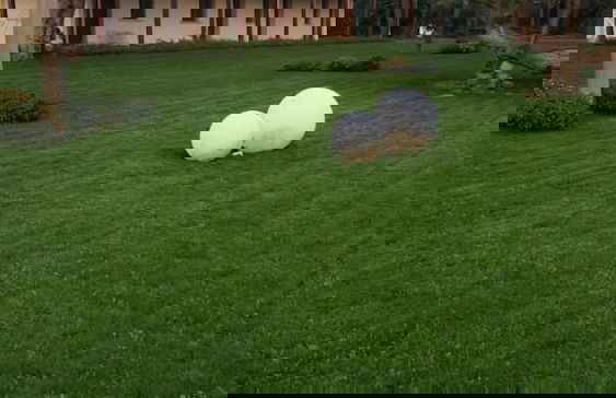 Tenuta Cavalieri - Foto 45