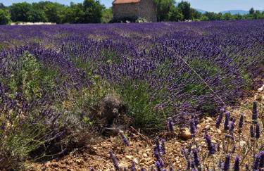 La Maison de Marie - Foto 2