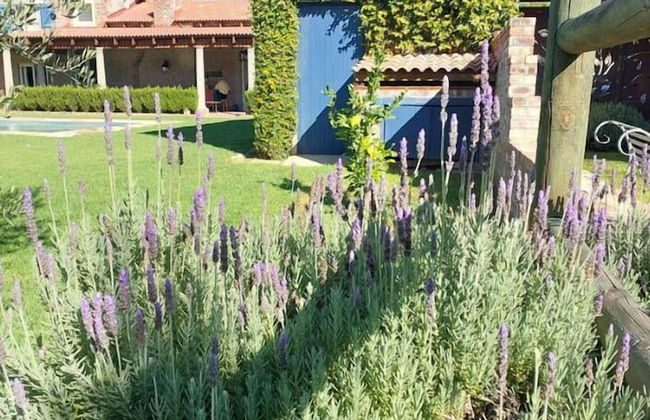 Hartland Country House - Foto 61