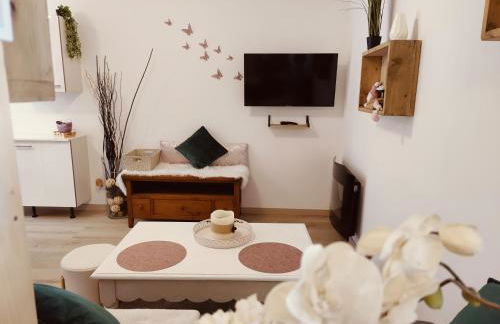 Location MarjoRI - T2 Le Roselin - Foto 9