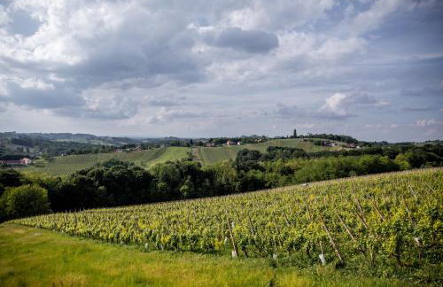 Holiday Home Međimurski Raj - Foto 35