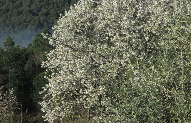 Casa Rural Las Gesillas - Foto 23