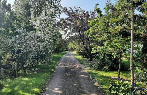 Holiday Home Ruhe am Meer - Ferienhäuser in den Gärten von Magra by Interhome - Foto 29