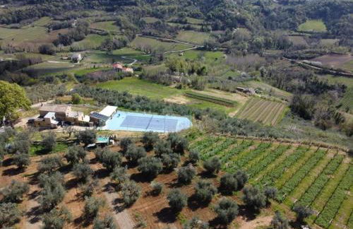 Za Teresa - Napoleonic Private Resort & Spa - Heated Pool on request - Foto 21