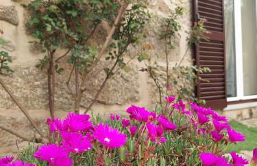 A Casa do Soito - Foto 30