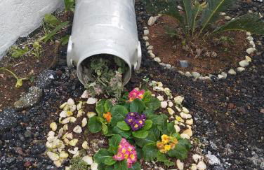 Casa do Lavrador - Photo 17