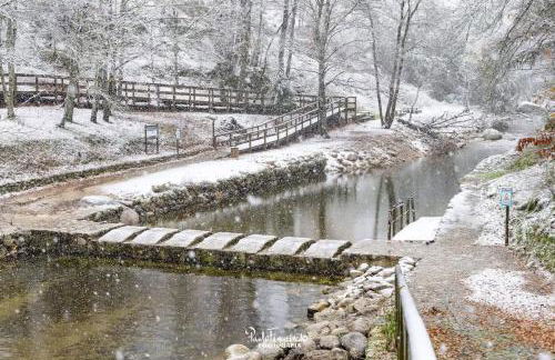 Senhora da Estrela AL - Foto 35