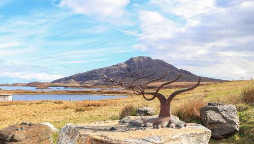 North Light Studio - Foto 3