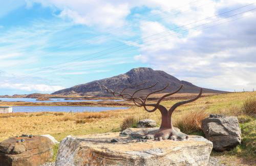 North Light Studio - Foto 3