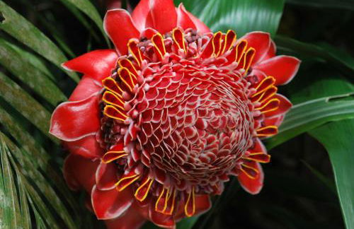 Beach Villas Kahaluu on Kona Coast - Foto 56