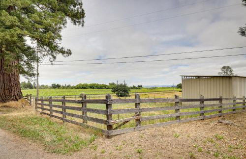 Sonoma County Vacation Rental with Vineyard Views! - Foto 39