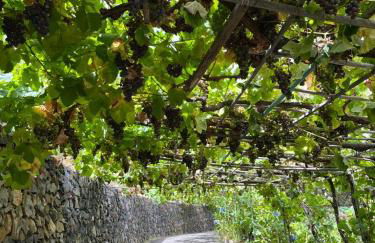 Casa Rural Quilla - Foto 26