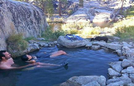 The Elderberry Retreat - It's a Dream Location! - Foto 74