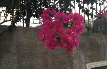 Villetta Fichera Monolocale - Foto 13