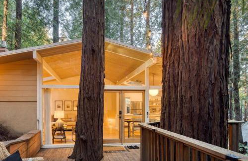 Window to the Redwoods - Near Downtown MV, Dipsea Trail, & Muir Woods - Foto 1