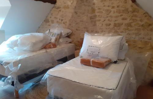 Gites au fil des châteaux de la Loire - Foto 30