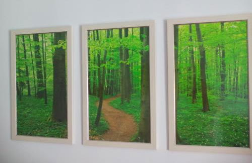 New La Granada - Foto 14