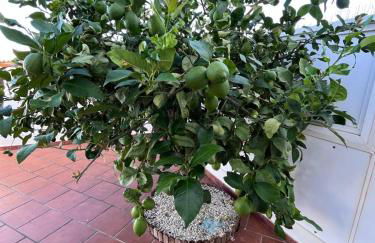 Malihana- Duplex con vistas y BBQ en Puerto Rico - Foto 36