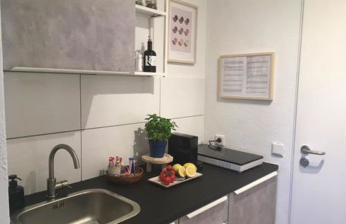 Modernes Apartment mit herrlichem Blick ins Gruene - Photo 6