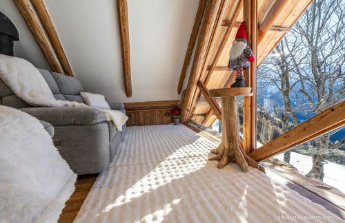 Chalets d alpage 5 étoiles la chabane - Foto 38