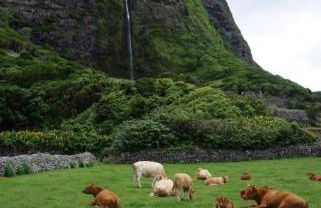 Casa do Stefan - Foto 21