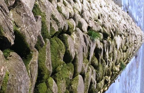 Bielenberg 37 - Foto 32