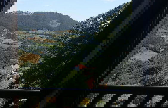 Trisqueles y Buganvillas - Photo 21