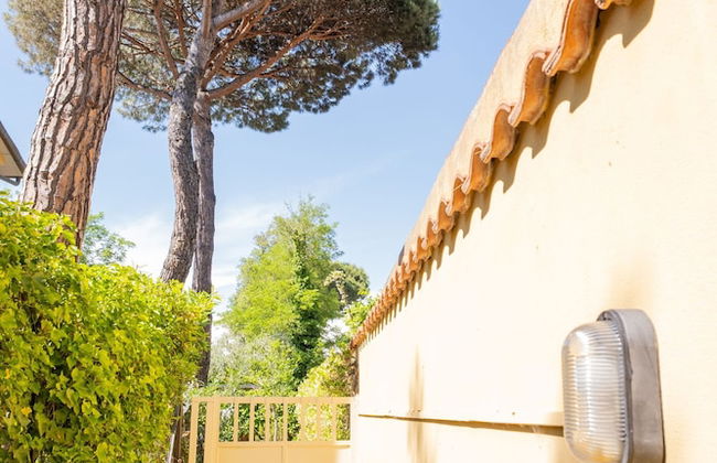 Tirrenia Fronte Mare - Foto 30