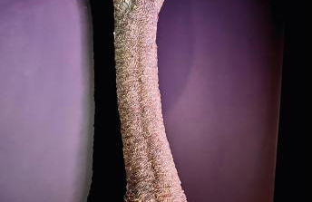 Gwel an Heyl, Padstow - Foto 46