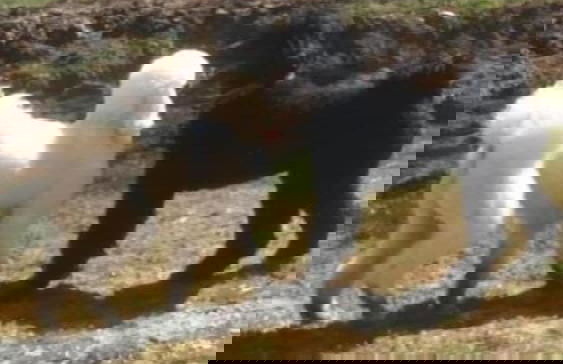 Apartment Red House - Foto 35