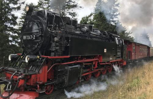 One-bedroom apartment - Foto 16