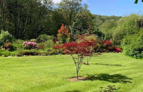 Cozy Cottage - Near Brew Pub / Snowdonia National Park. - Foto 11