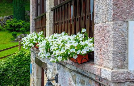 La Quintana de Doña Leonor - Photo 26