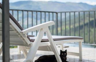 Sousa Horizonte - Louredo - Foto 33